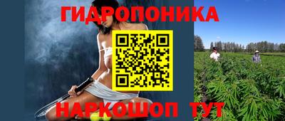 индика Моздок