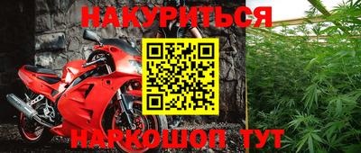 индика Моздок